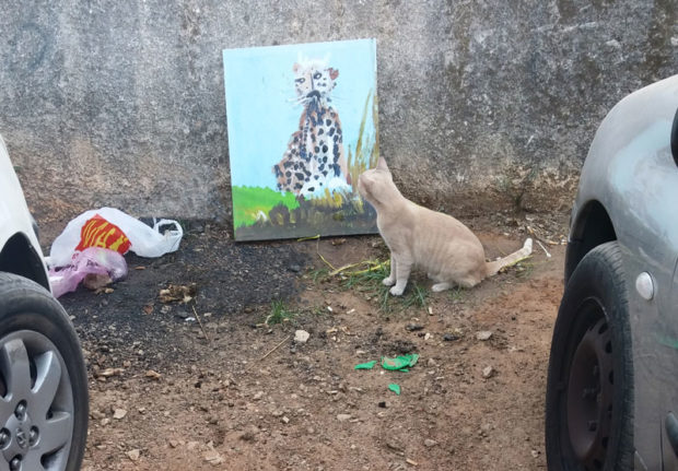 cat-in-parking-lot-1